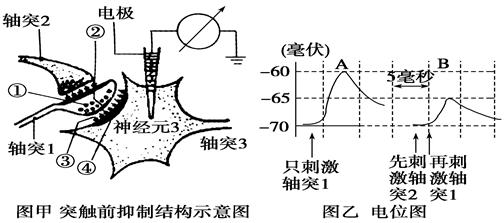 澳门威尼斯人官方网站